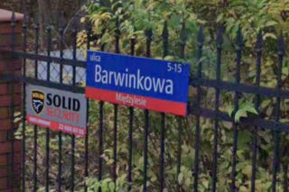 Oto najbardziej wiosenne ulice w stolicy! Tu wiosna trwa cały rok!