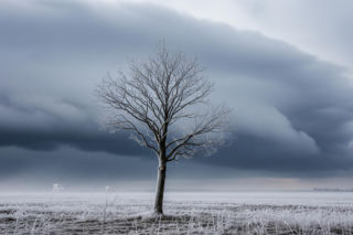 Ostrowiec Świętokrzyski, 19.11.2025: Pogodowy rollercoaster? Nadciągają mroczne chwile!