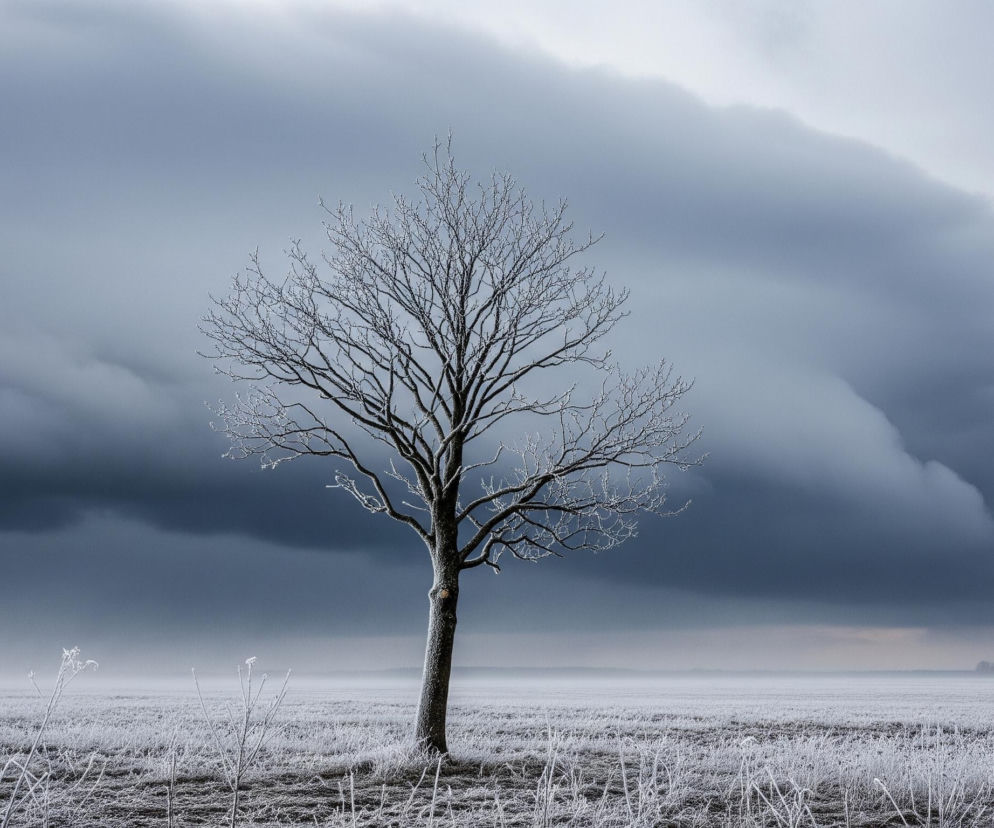 Pośrodku kadru stoi samotne drzewo, którego gałęzie i pień pokryte są białym szronem. Drzewo jest bezlistne, z wyraźnie widoczną strukturą rozgałęzień. Poniżej rozciąga się rozległe pole, całe pokryte szronem, co nadaje mu biało-szary odcień, a niektóre suche trawy i pędy wystają z ziemi, również oszronione. Horyzont jest niewyraźny i mglisty, a nad nim dominuje pochmurne niebo z ciemnymi, burzowymi chmurami, które stopniowo przechodzą w jaśniejsze odcienie szarości w górnej części kadru.