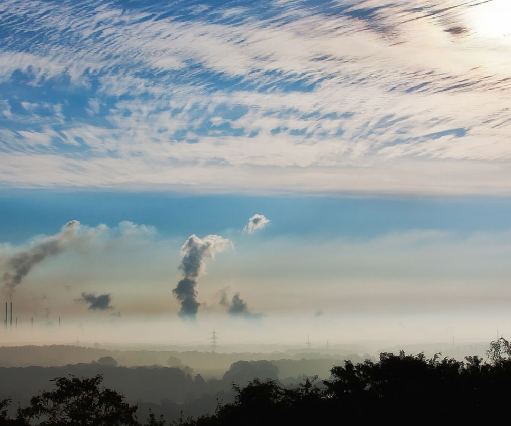 SMOG