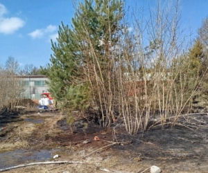 Śmierć podczas wypalania traw i śmieci?  Nie żyje 50- latek znaleziony w pożarze w Pionkach