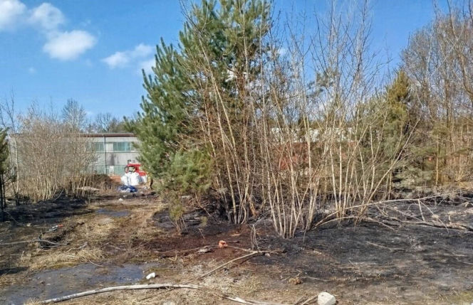 Śmierć podczas wypalania traw i śmieci?  Nie żyje 50- latek znaleziony w pożarze w Pionkach