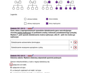 Matura 2026 biologia ROZSZERZONA: Arkusze CKE i odpowiedzi - sprawdź, czy zdałeś! 8.05.2026