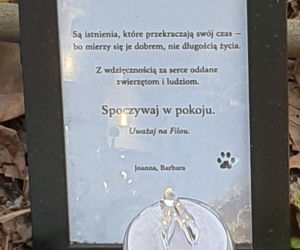 Miejsce wypadku Łukasza Litewki