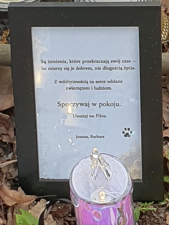 Miejsce wypadku Łukasza Litewki