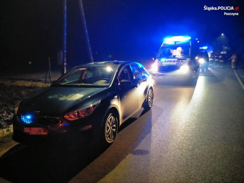 Groza na Śląsku. 14-latka wyszła z domu i zniknęła, szukały jej służby i zrozpaczeni rodzice. Dziewczynkę znaleziono w lesie