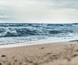 Plaża na Błotach