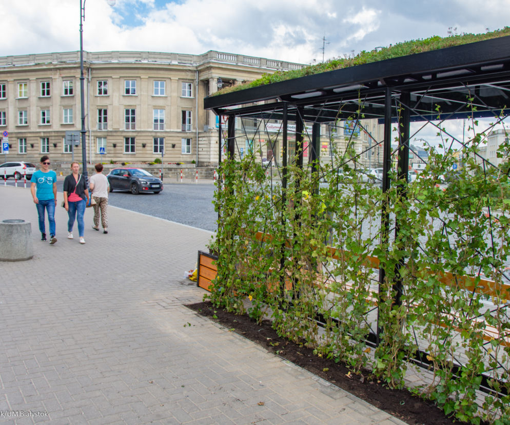 Są już pierwsze zielone przystanki w Białymstoku