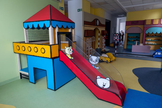 Pierwsze w Polsce muzeum Kici Koci