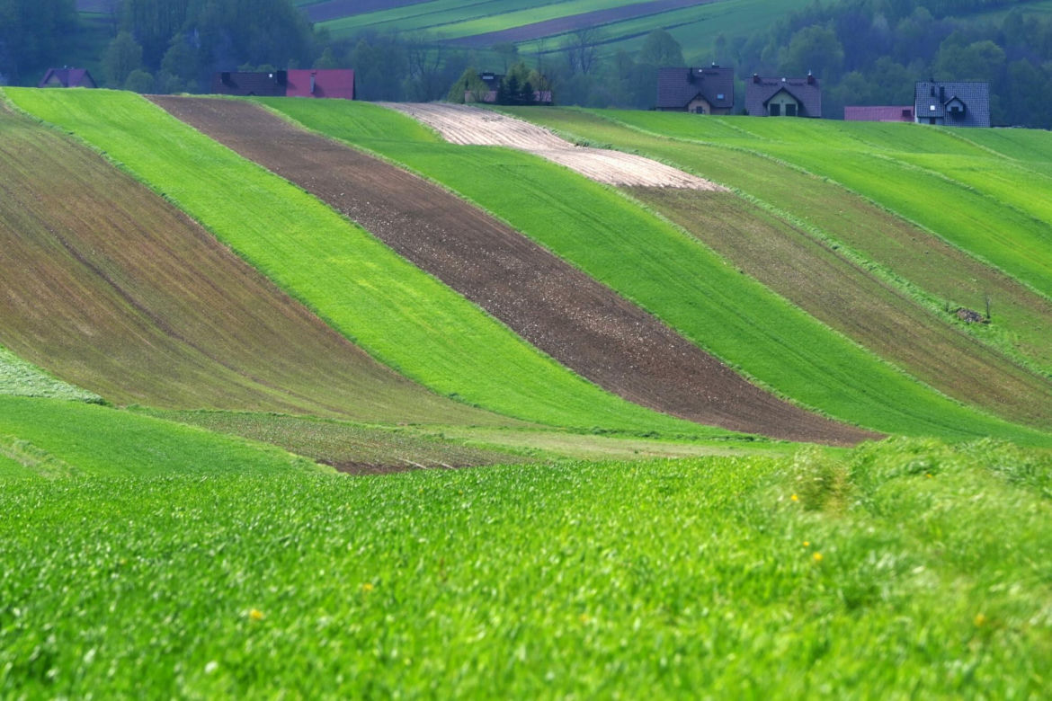 Wyjątkowa małopolska wieś na Szlaku Orlich Gniazd. Zachwycają się nią nawet za granicą 