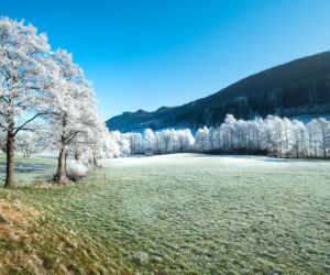 Te części Polski niedługo zetnie mróz! Nawet minus pięć stopni