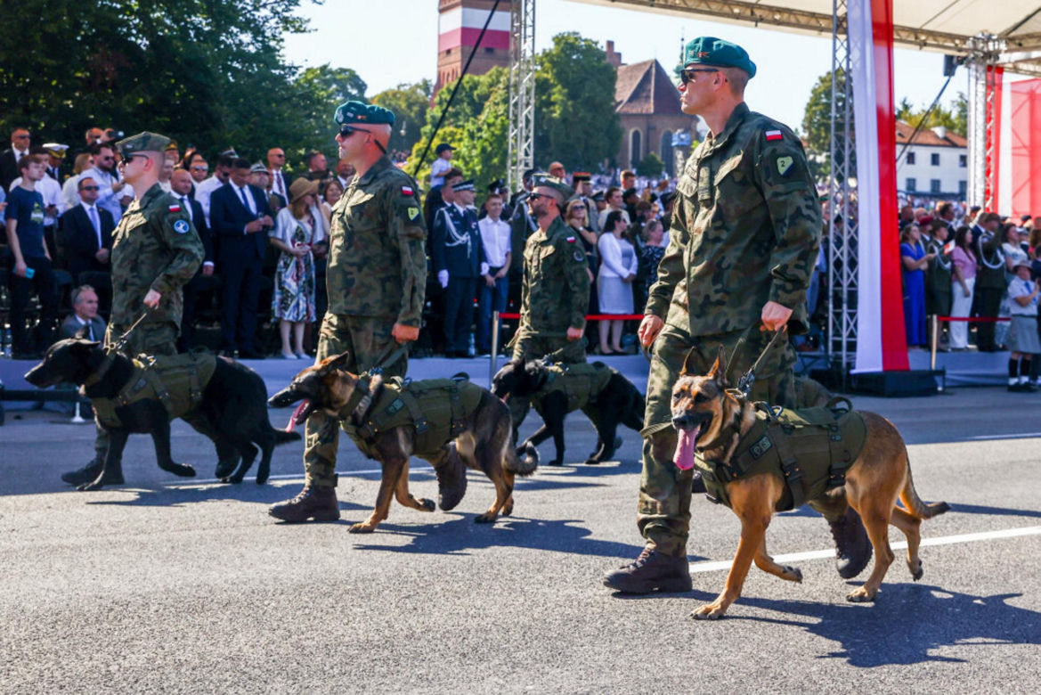 Defilada Wojska Polskiego bez psów. Upały pokrzyżowały plany. Znamy szczegóły