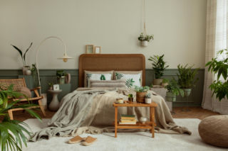 Ta roślina doniczkowa to absolutny hit do sypialni. Szybko oczyszcza powietrze i gwarantuje twardy sen