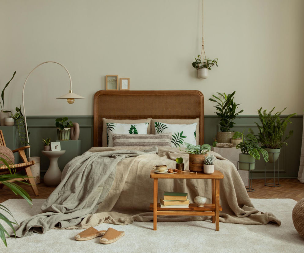 To najlepsza roślina do sypialni. Poprawia jakość snu i nie wymaga specjalnej pielęgnacji 