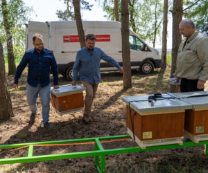 Pszczelarze z Rzeszowa uratowali pasiekę w Wielkopolsce [GALERIA]