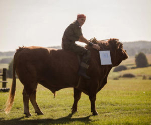 Czy znany zaklinacz byków straci swoje ranczo?
