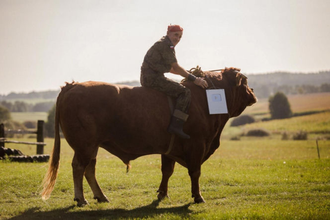 Czy znany "zaklinacz byków" straci swoje ranczo?