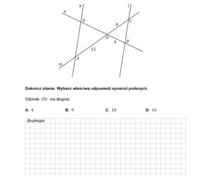 arkusz maturalny CKE - matematyka podstawowa