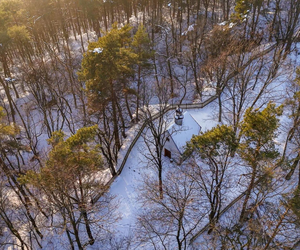 Ta świętokrzyska wieś skrywa pogańskie sanktuarium. Poznaj fascynującą historię Góry Grodowej 
