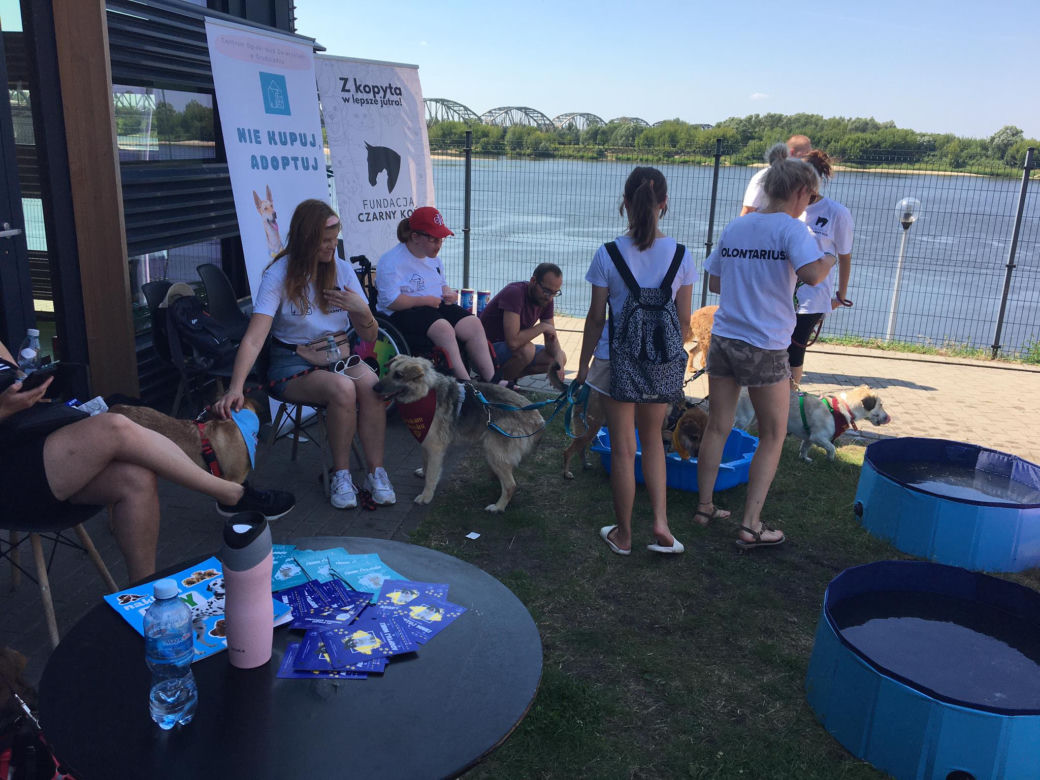 Charytatywne wydarzenie dla zwierząt w Grudziądzu