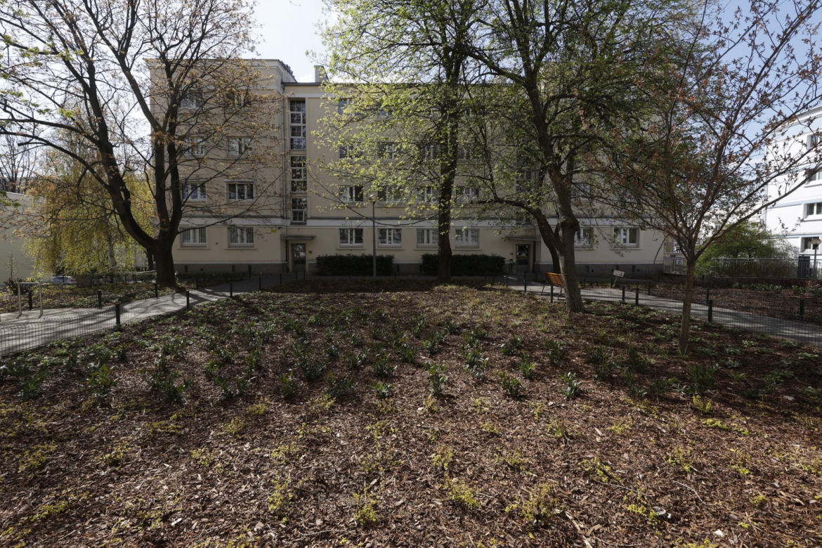 Nożem zaatakował kobietę w mieszkaniu na Śródmieściu. Trafił do szpitala psychiatrycznego
