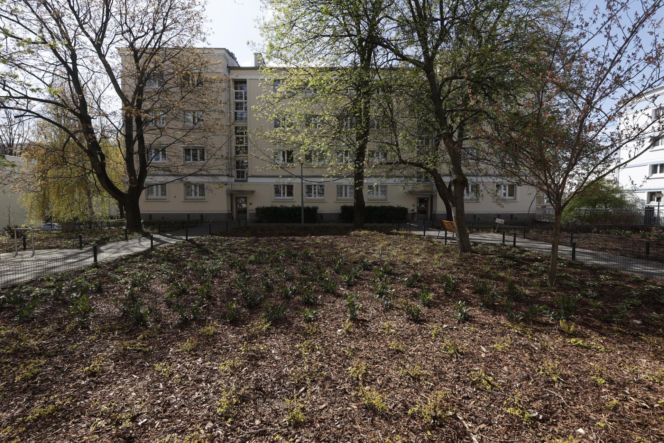 Nożem zaatakował kobietę w mieszkaniu na Śródmieściu. Trafił do szpitala psychiatrycznego