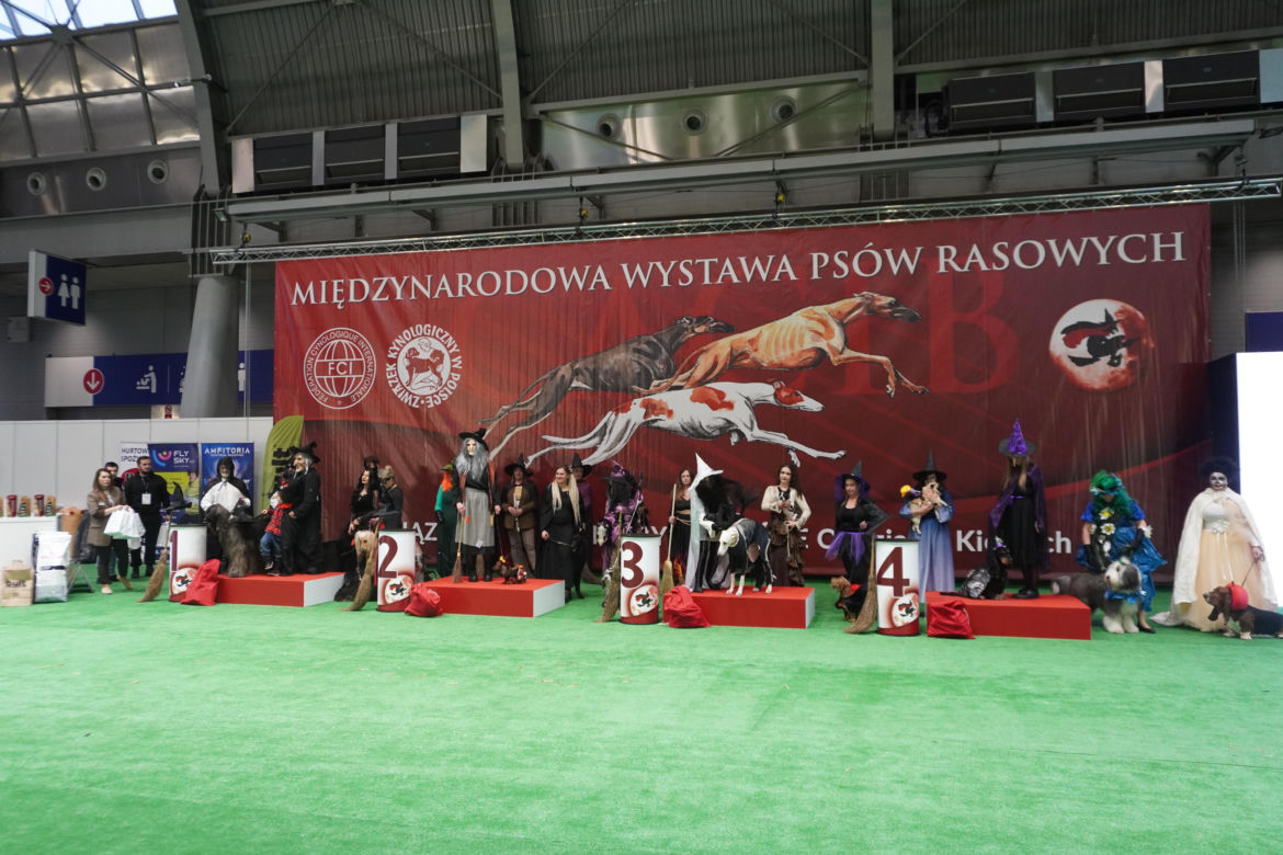 Międzynarodowa Wystawa Psów Rasowych Duo Cacib Kielce 2025