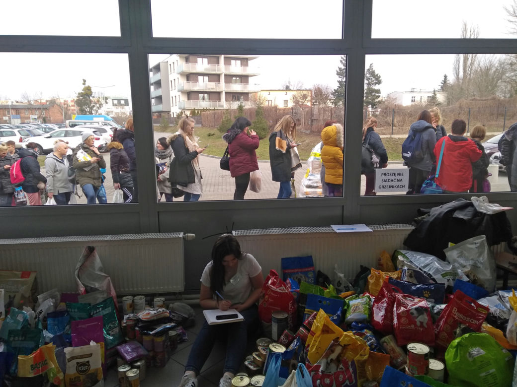 Zumba dla zwierzaków