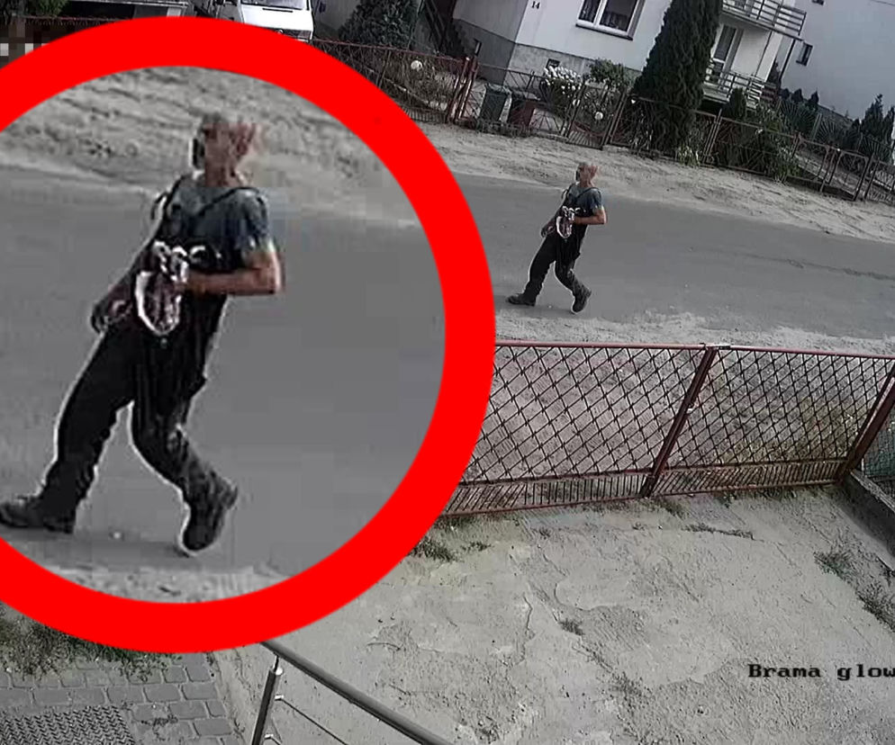 Policja szuka bandziora