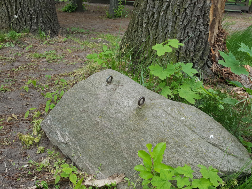 Park Linowy "Tarzan" w Lesznie na kilka dni przed otwarciem