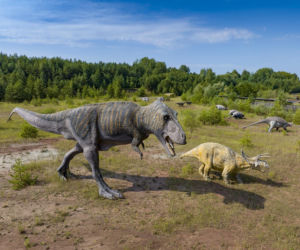 JuraPark Krasiejów