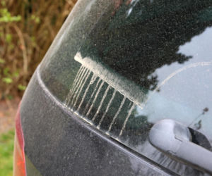 Pył z Sahary na autach