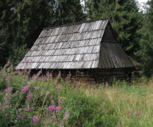 To jedna z najpiękniejszych wsi na Podhalu. Według legendy jej pierwszym sołtysem był słynny zbójnik