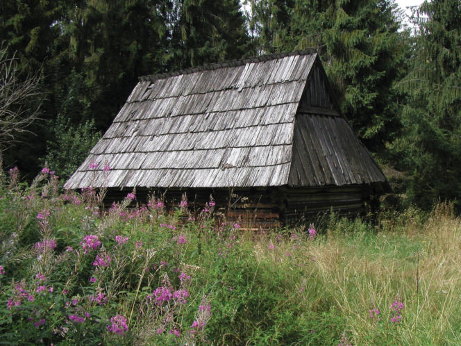 To jedna z najpiękniejszych wsi na Podhalu. Według legendy jej pierwszym sołtysem był słynny zbójnik