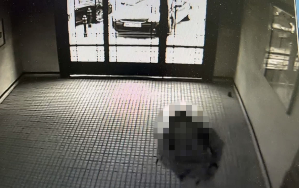 Ukradł walizki z klatki schodowej. Przed policją schował się... pod łóżko