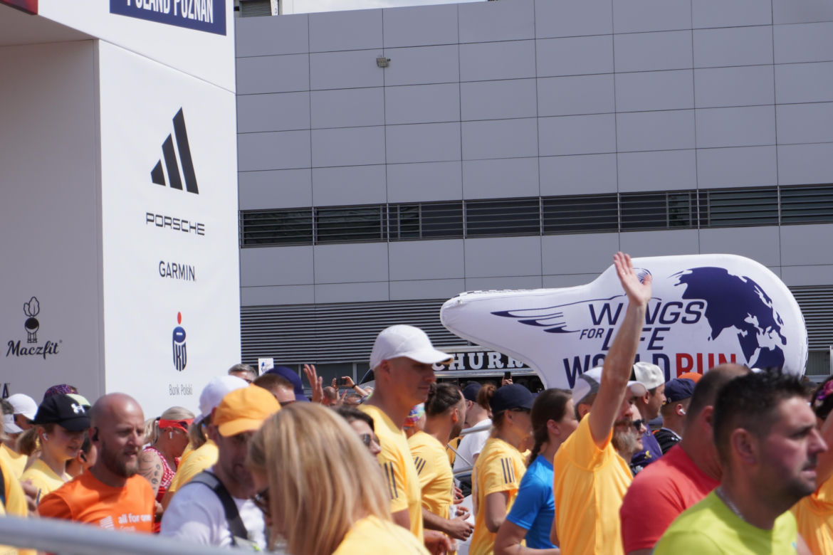 Bieg Wings for Life World Run 2024 w Poznaniu