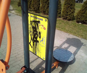 Akty wandalizmu w radomskich parkach i nie tylko