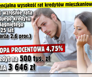 Raty kredytów