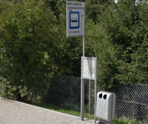 Białych Goździków