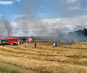 Bolesty. Żniwa w pełni, a kombajn stanął w ogniu! Dramat rolników z podlaskiego
