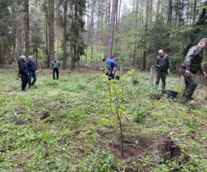 Olsztynek. Odsłonięto zbiorowe mogiły sprzed 100 lat. Nikt się tego nie spodziewał