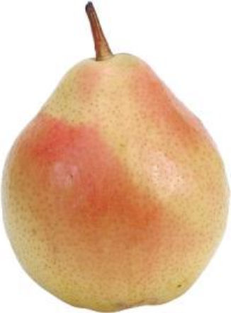 Owocowanie gruszy