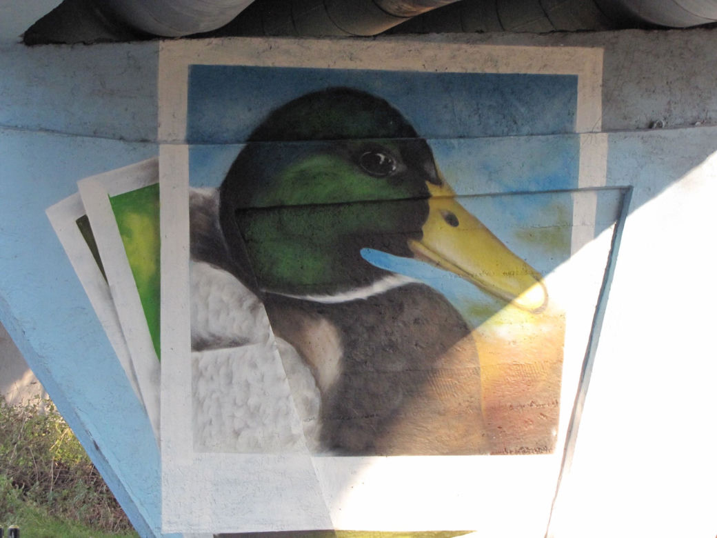 Mural w rejonie Lisiej Góry w Rzeszowie robi się coraz większy