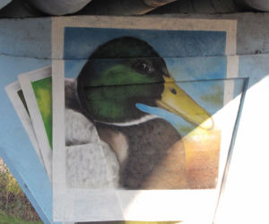 Mural w rejonie Lisiej Góry w Rzeszowie robi się coraz większy