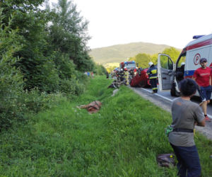 Wypadek w Dobrej. Zderzenie samochodu z konnym zaprzęgiem. Zwierzę nie żyje