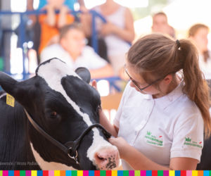 Targi rolnicze w Szepietowie 2019