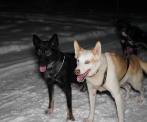 Wyjazd VOX FM do Laponii