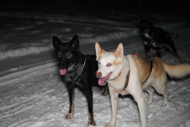 Wyjazd VOX FM do Laponii