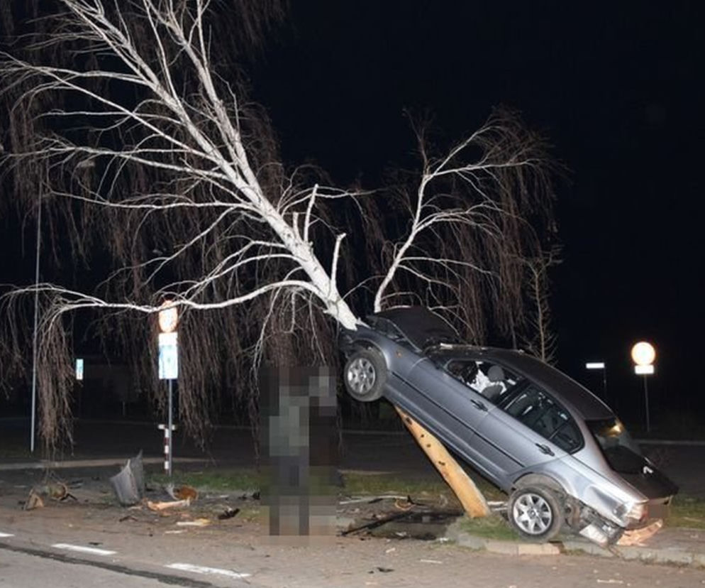 Pijany kierowca BMW wjechał na drzewo – dosłownie. Cztery osoby ranne