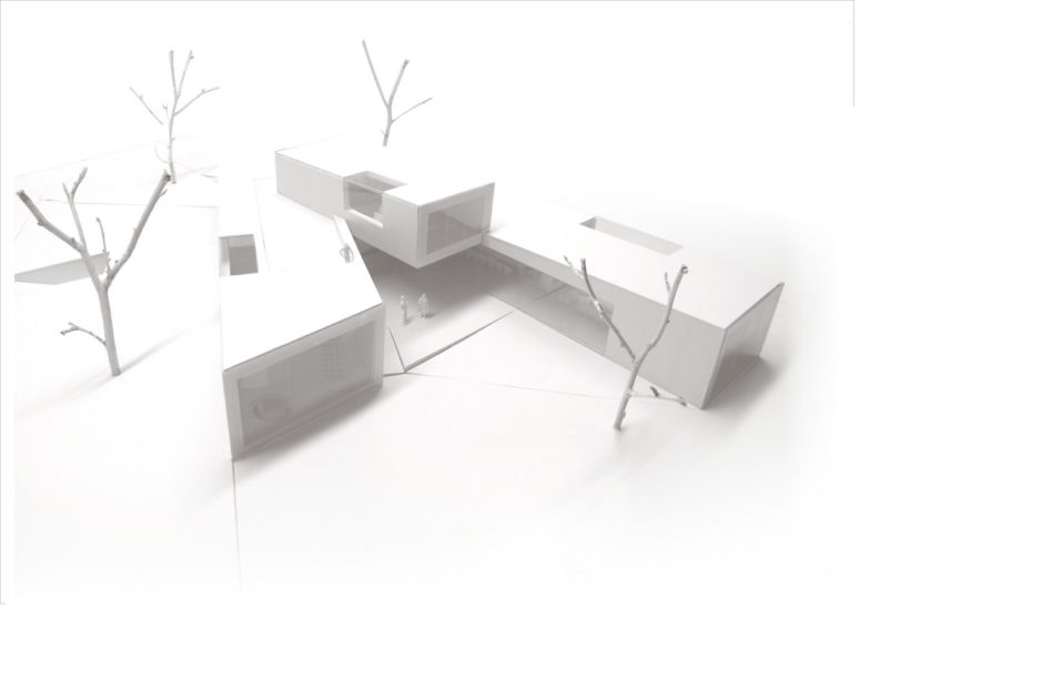 Dom V-House w Pyskowicach